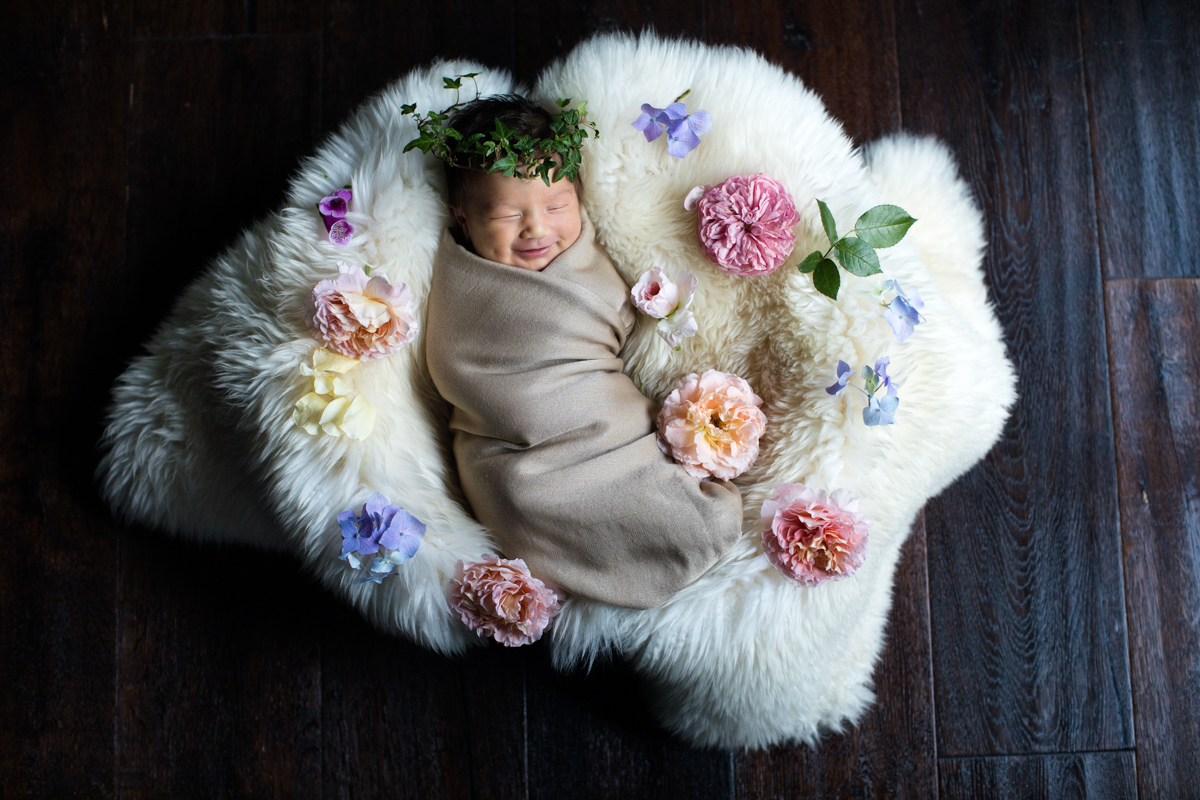 Portraits / Newborn