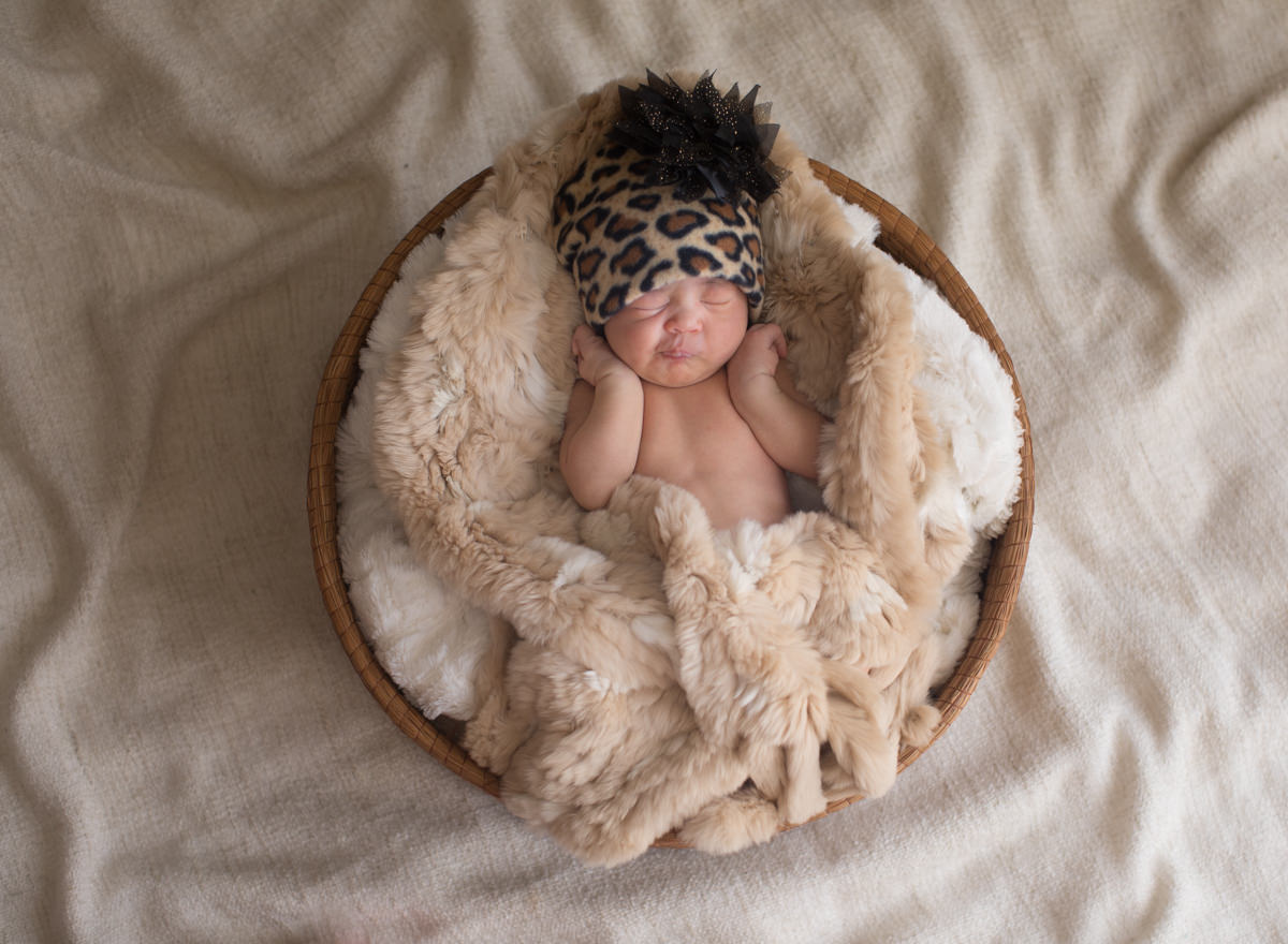 Portraits / Newborn